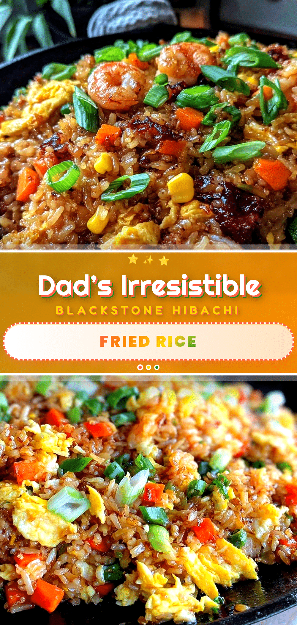 blackstone hibachi fried rice recipe