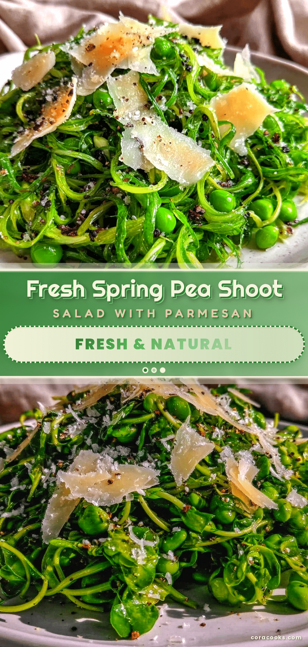 fresh spring pea shoot salad recipe