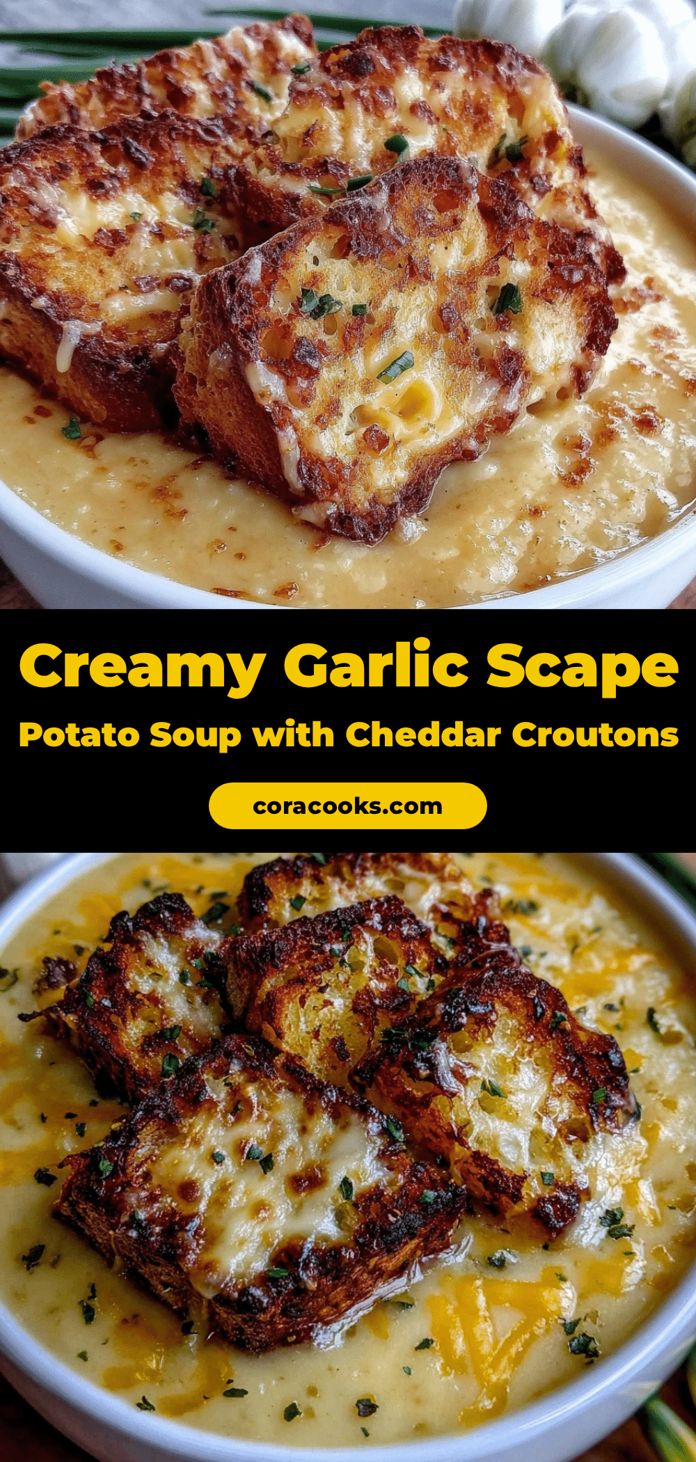 creamy garlic scape potato soup recipe