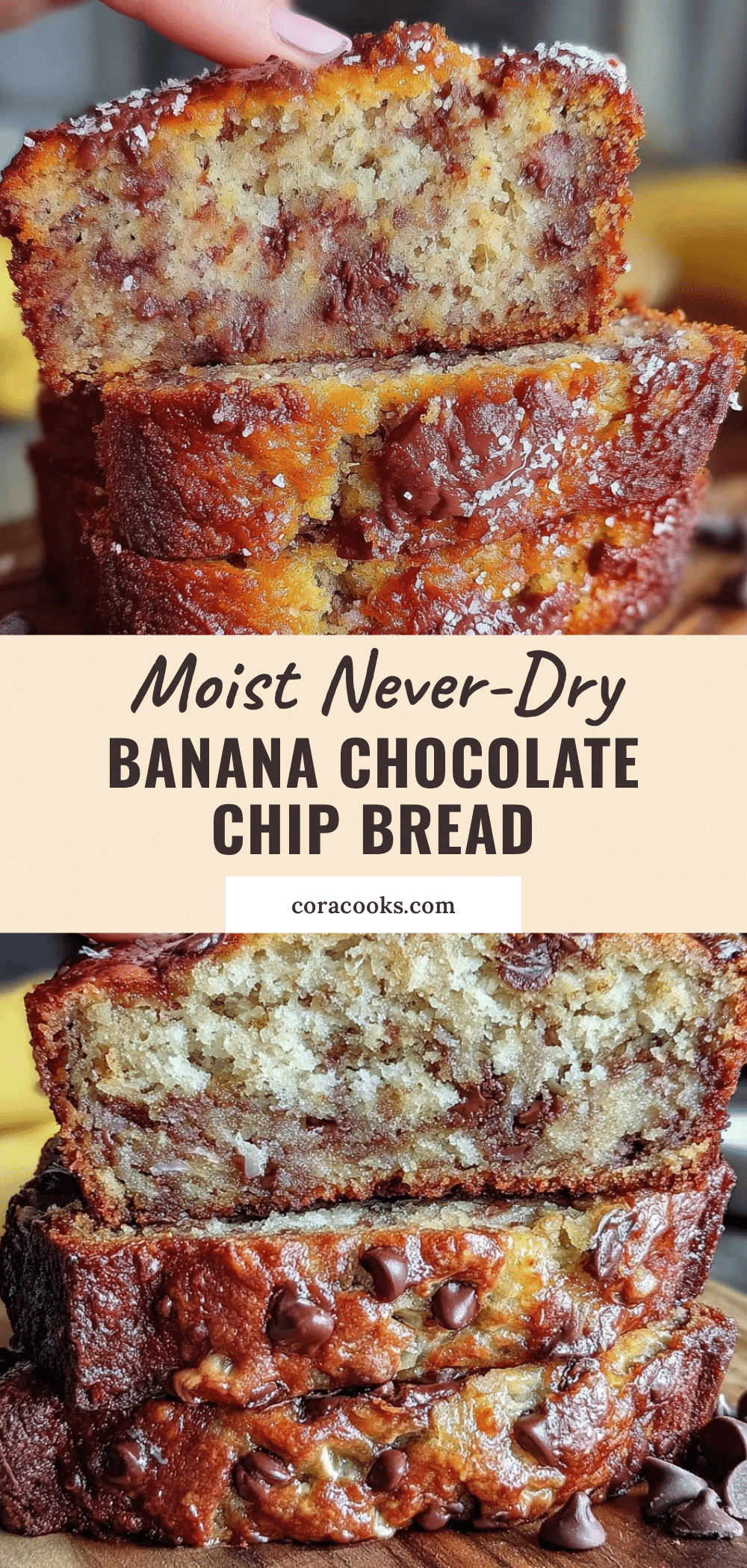 moist banana bread with chocolate chips recipe