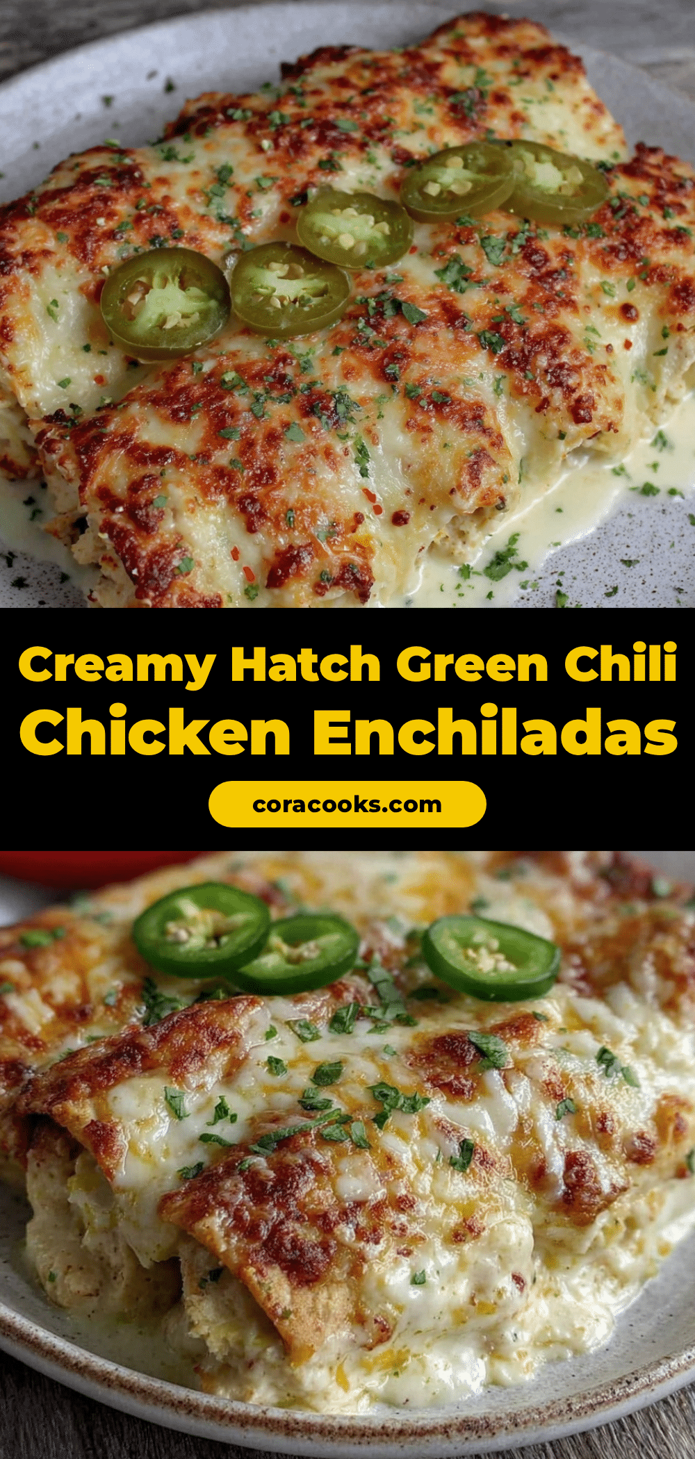 creamy hatch green chili chicken enchiladas recipe