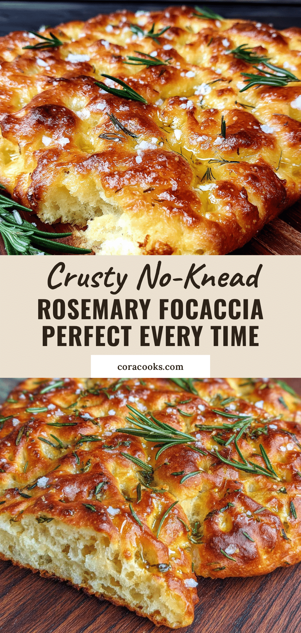 no-knead rosemary sourdough focaccia recipe