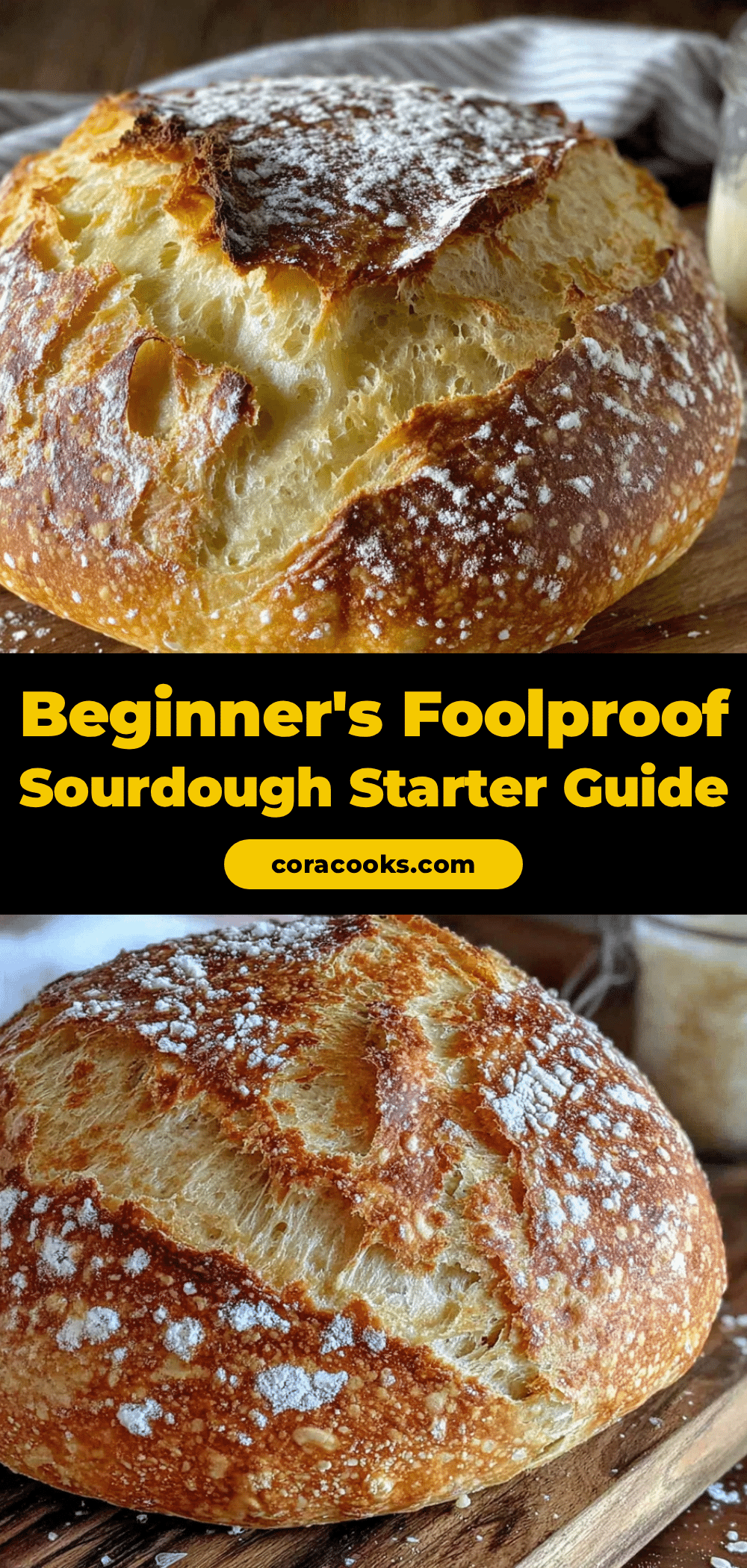 simple beginner sourdough starter recipe recipe