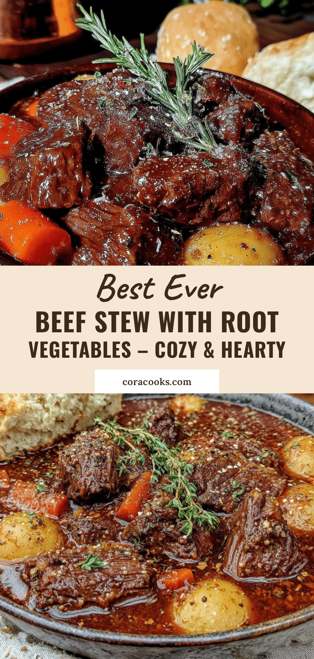 best ever beef stew with root vegetables recipe