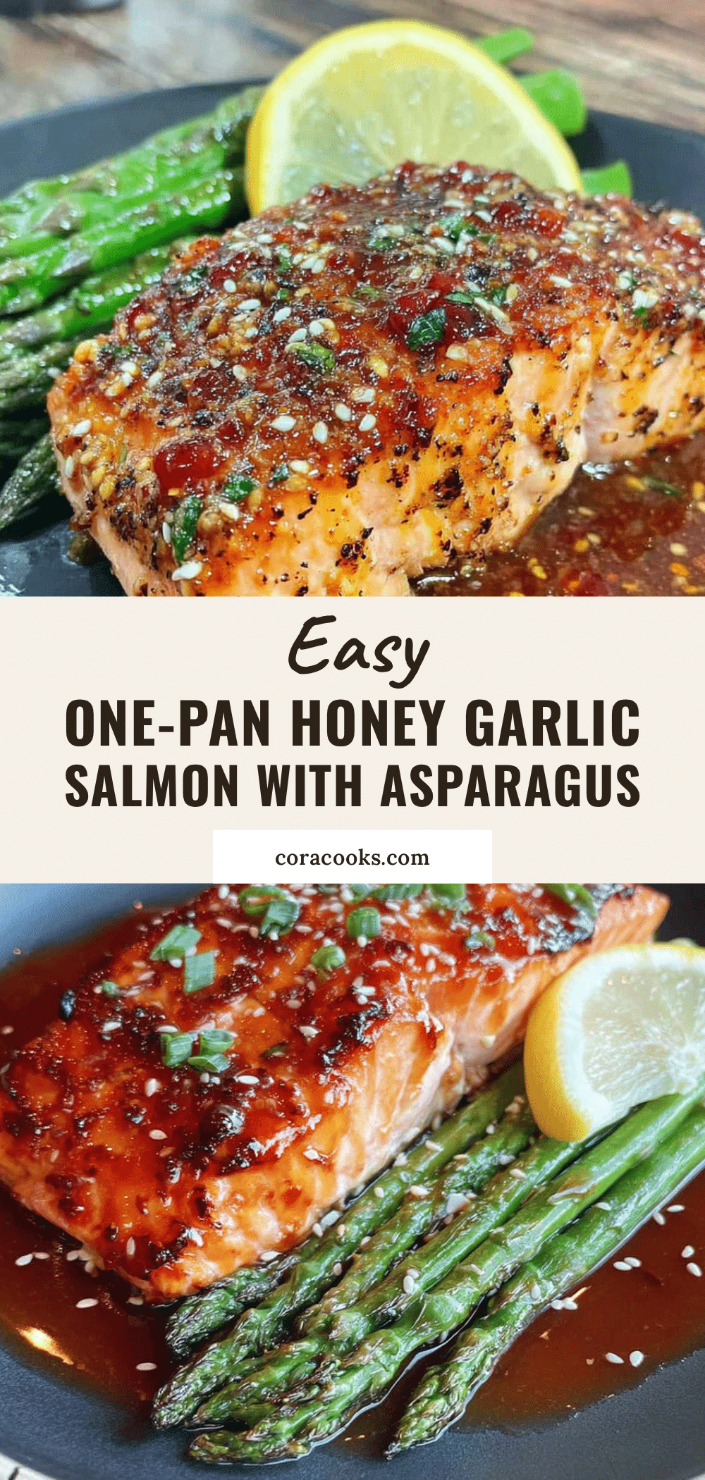 one pan honey garlic salmon recipe