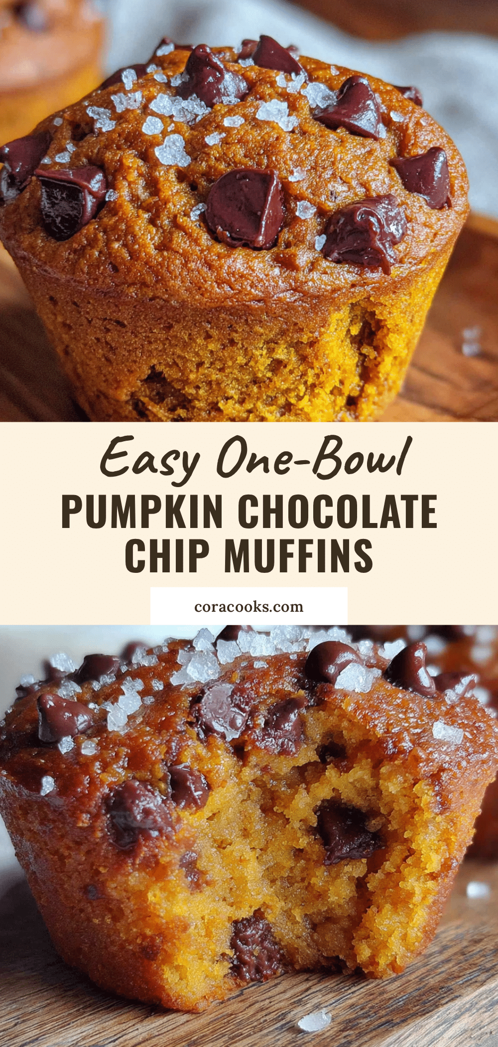 pumpkin chocolate chip muffins recipe