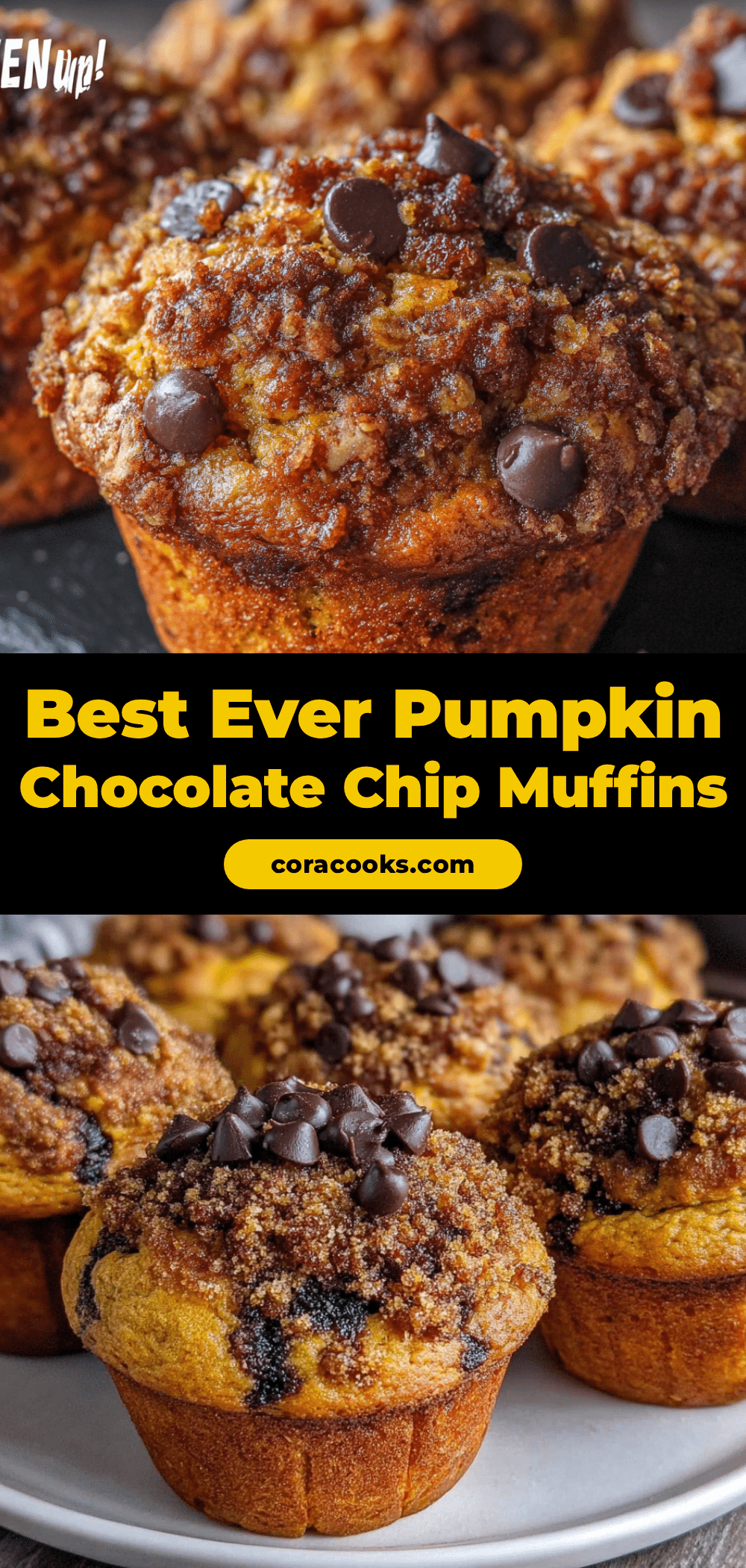 pumpkin chocolate chip muffins recipe