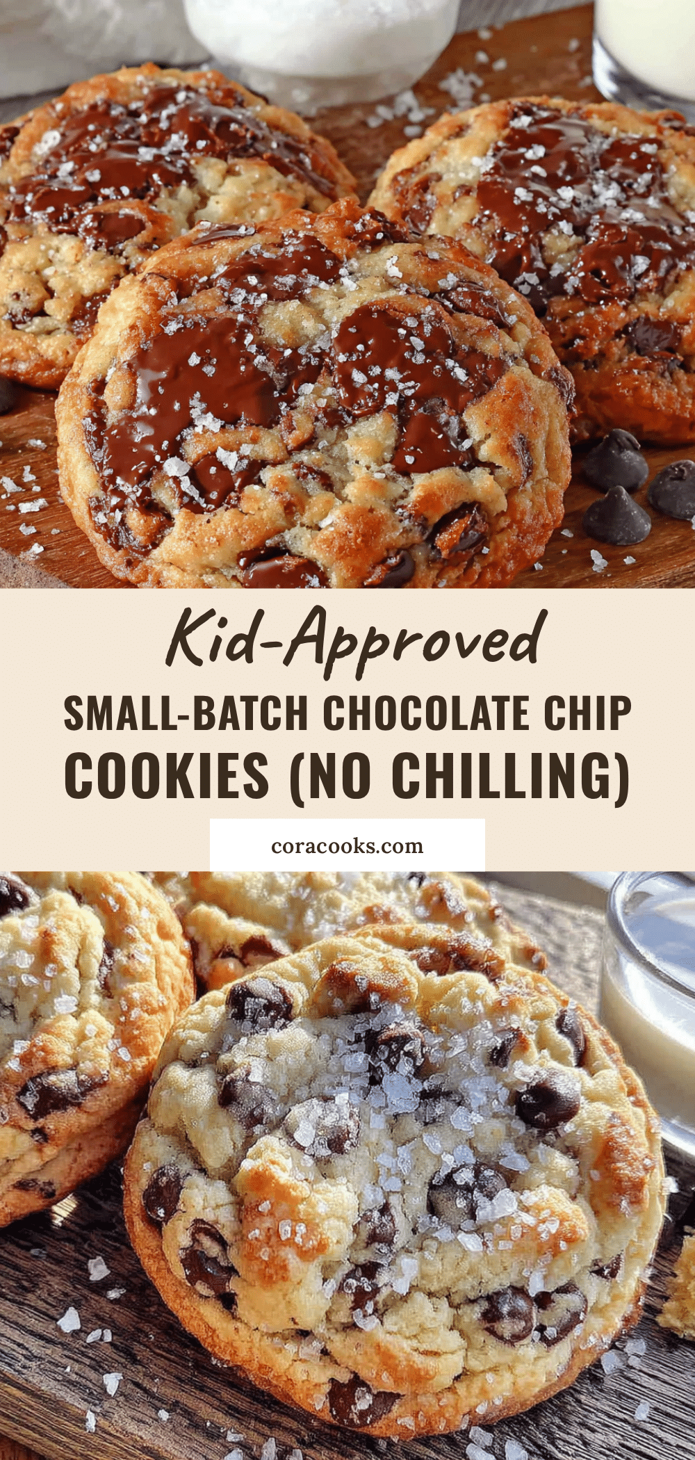 small batch chocolate chip cookies recipe