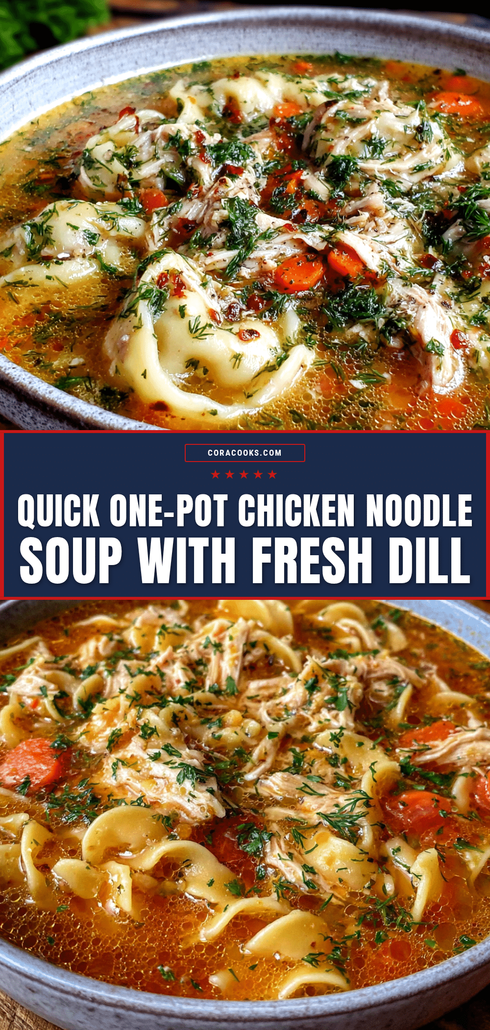 one-pot chicken noodle soup with fresh dill recipe